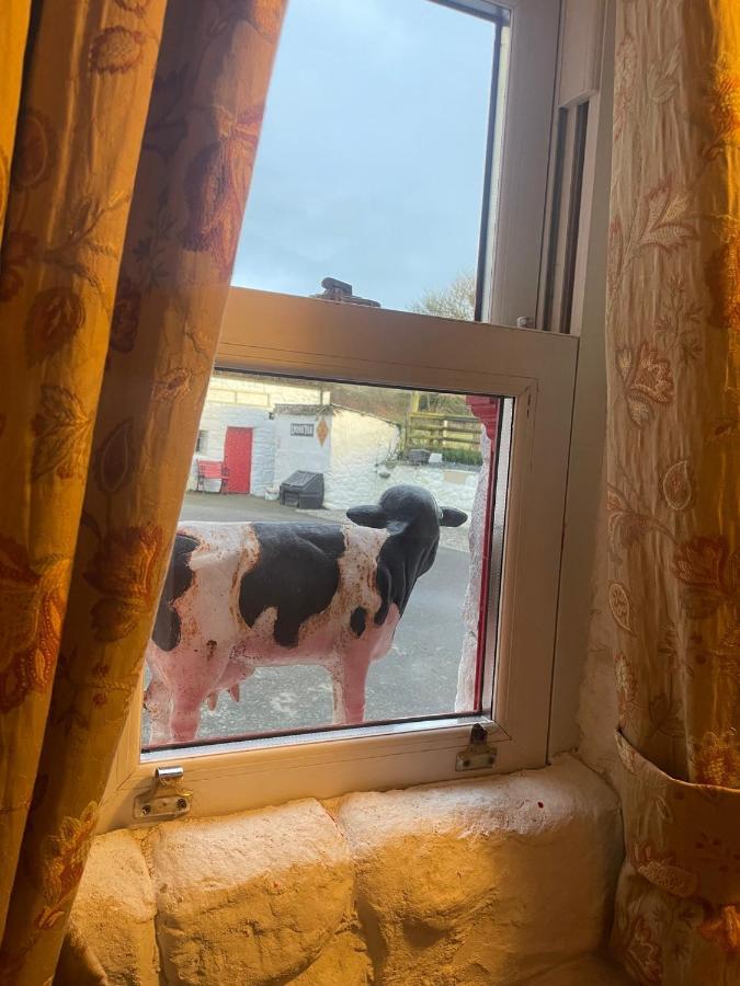 Nellie'S Farmhouse Carlingford Buitenkant foto